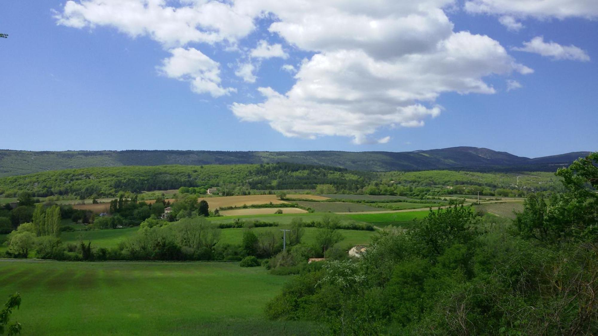 Le Grain De Lavande - Mont Ventoux Sault-de-Vaucluse Buitenkant foto